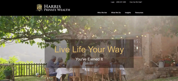 Example of a website video