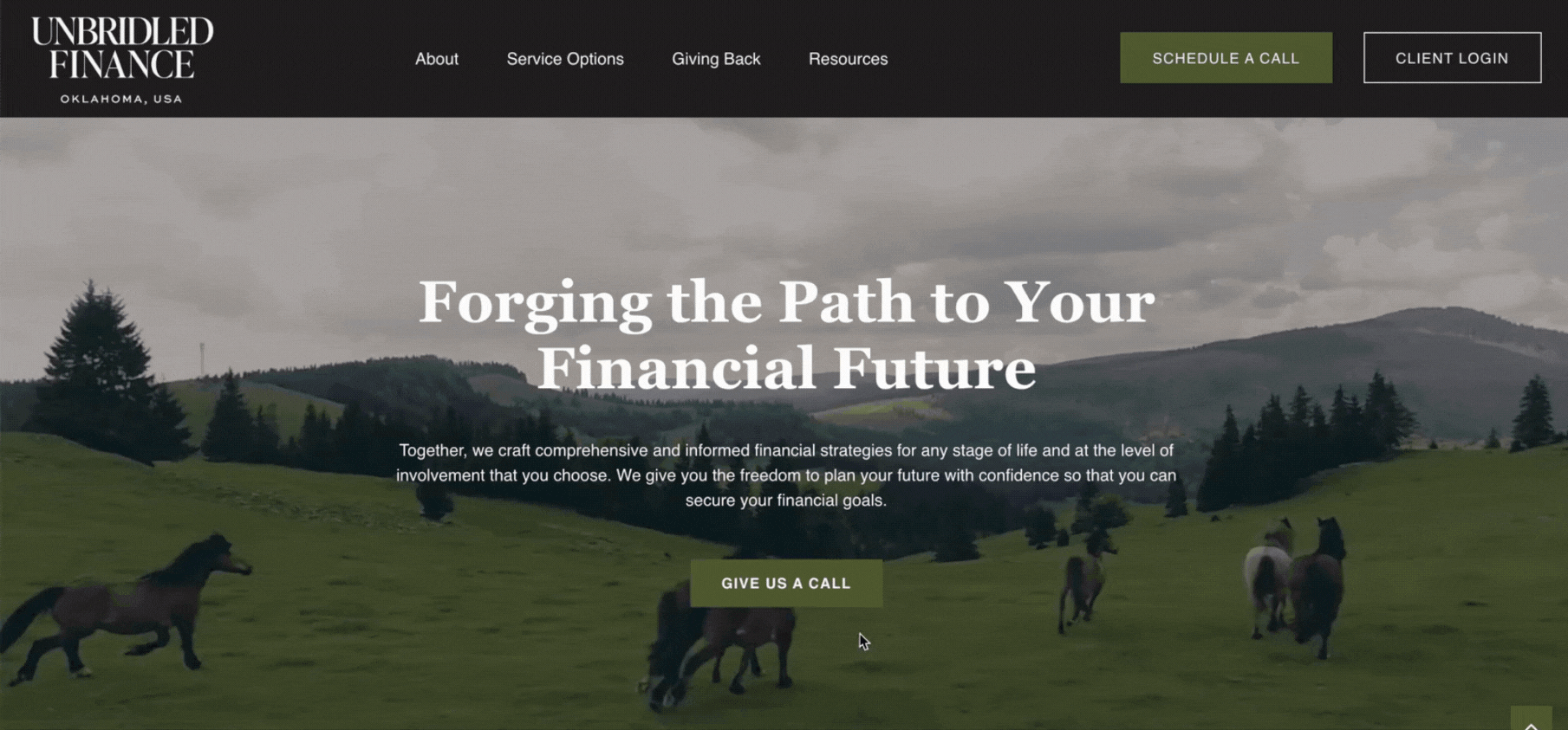 Unbridled Finance Advisor Website